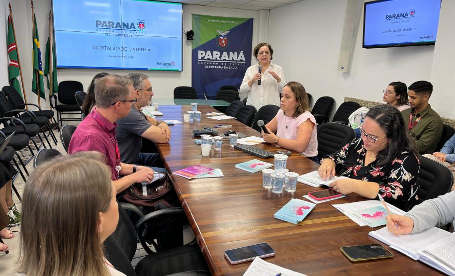 Encontro no Paraná reforça prevenção à mortalidade materna, infantil e fetal