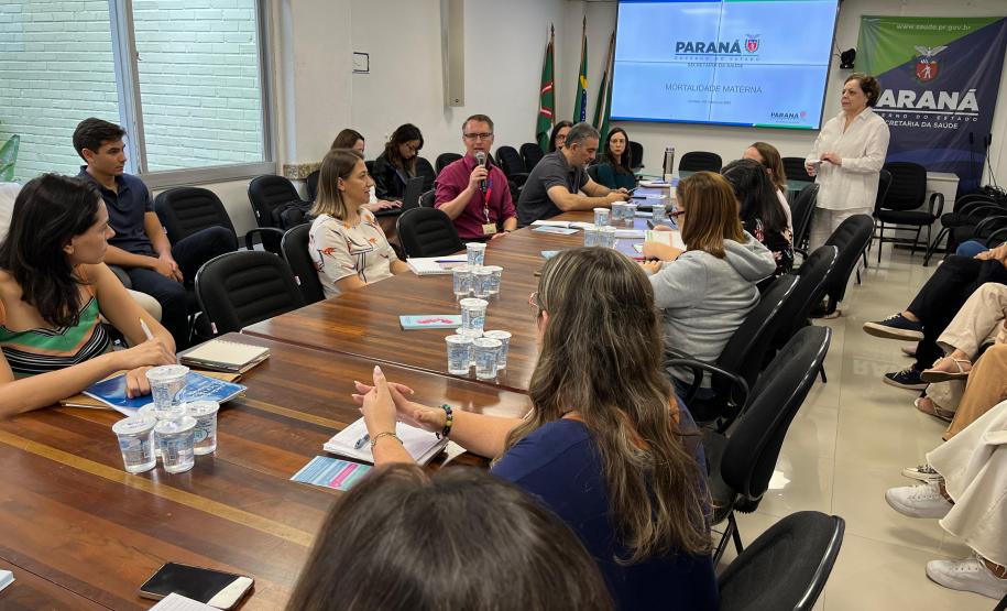 Encontro no Paraná reforça prevenção à mortalidade materna, infantil e fetal