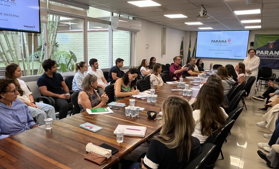 Encontro no Paraná reforça prevenção à mortalidade materna, infantil e fetal
