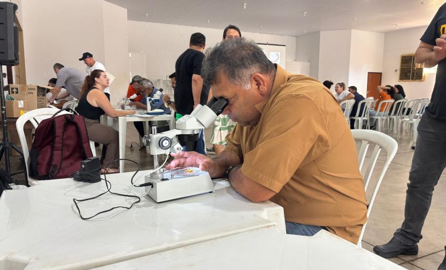 Sesa promove capacitação sobre acidentes com animais peçonhentos na Região Noroeste