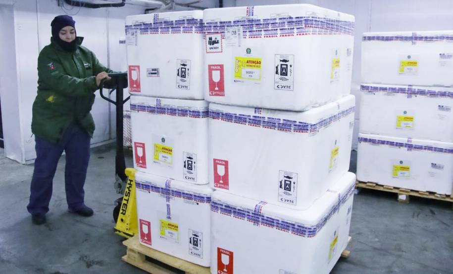 Paraná recebe 332 mil vacinas contra gripe e se prepara para início da campanha