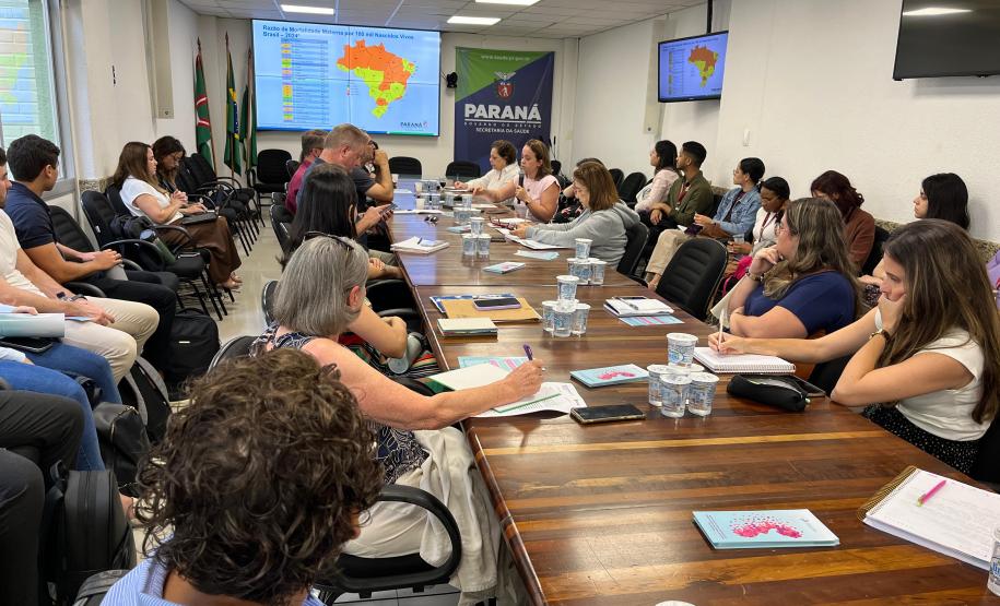 Encontro no Paraná reforça prevenção à mortalidade materna, infantil e fetal