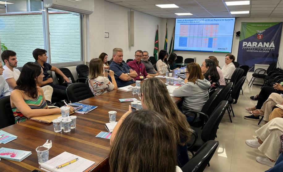 Encontro no Paraná reforça prevenção à mortalidade materna, infantil e fetal