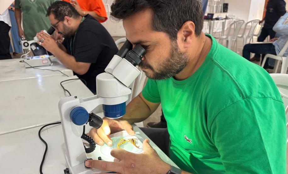Sesa promove capacitação sobre acidentes com animais peçonhentos na Região Noroeste