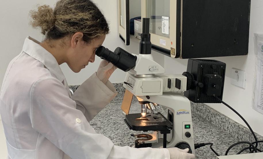 Produção de soro: unidade do Paraná recebe 2,5 mil aranhas para extração do veneno