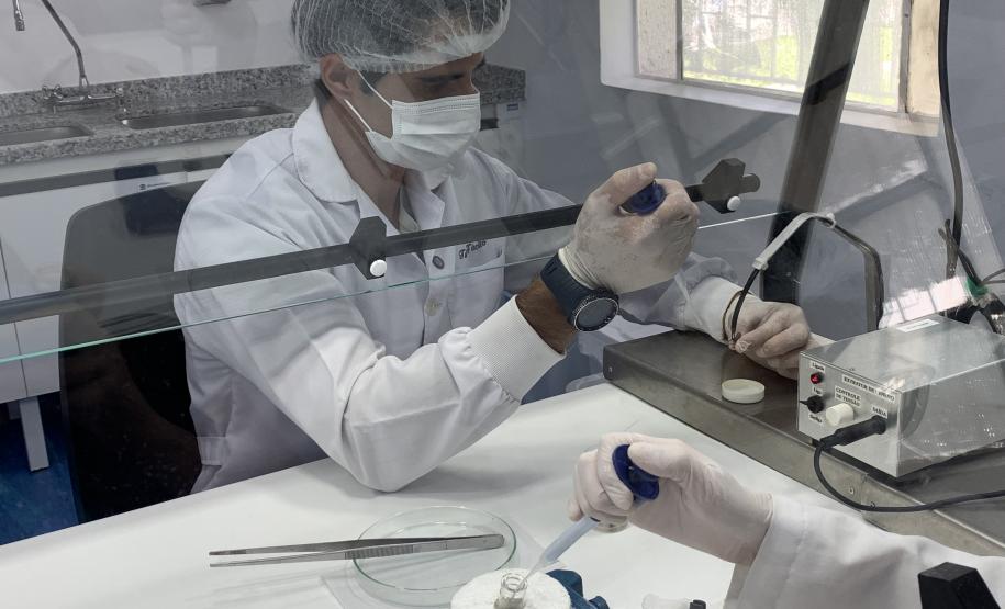 Produção de soro: unidade do Paraná recebe 2,5 mil aranhas para extração do veneno