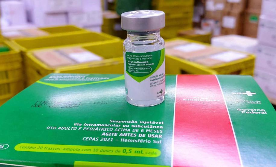 Influenza: vacinação para crianças, idosos e gestantes entra na rotina anual do SUS