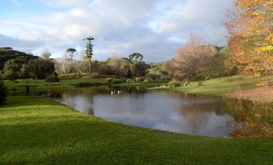 Outono: Saúde alerta que estação exige cuidados para doenças respiratórias e alergias