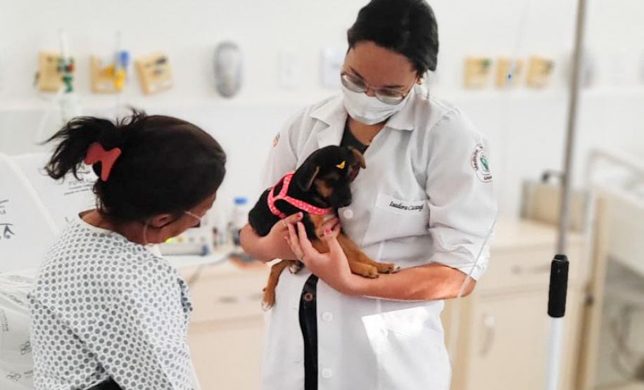 Humanização da saúde: hospitais do Estado têm ações para muito além do tratamento