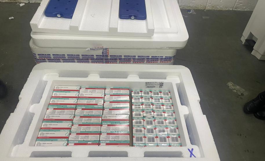 Paraná implanta “Dose Zero” do sarampo em crianças para prevenir reintrodução da doença