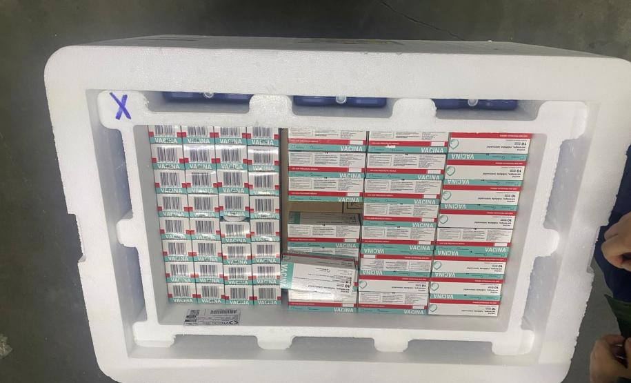 Paraná implanta “Dose Zero” do sarampo em crianças para prevenir reintrodução da doença