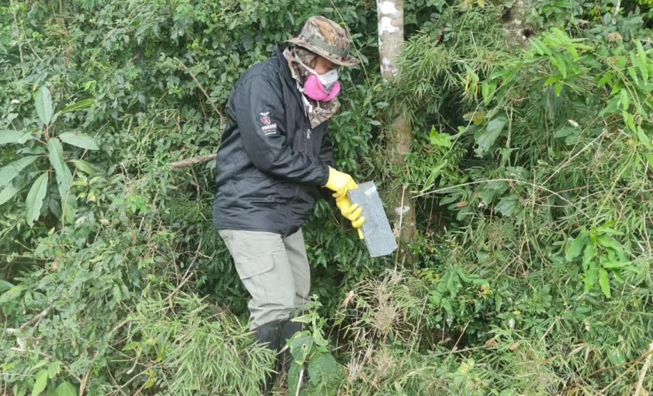 Estado reforça vigilância e prevenção de agravos ligados ao meio ambiente