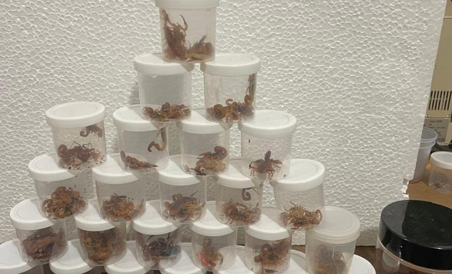 Estado reforça vigilância e prevenção de agravos ligados ao meio ambiente