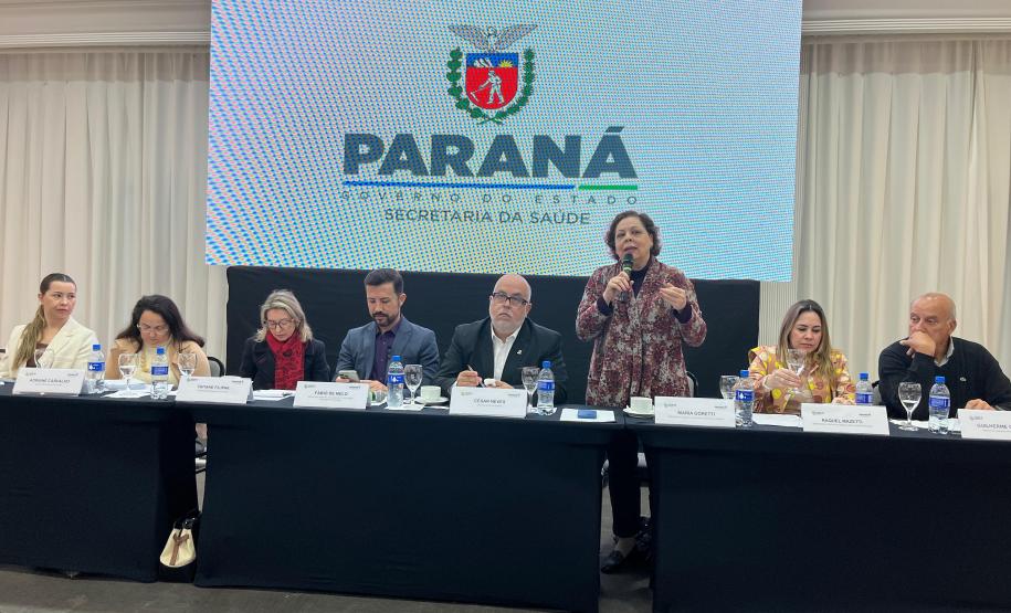 Sesa apresenta avanços em cirurgias e assistência farmacêutica durante reunião da CIB