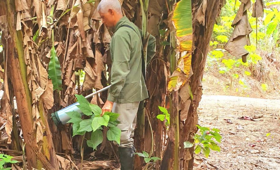 Estado reforça vigilância e prevenção de agravos ligados ao meio ambiente
