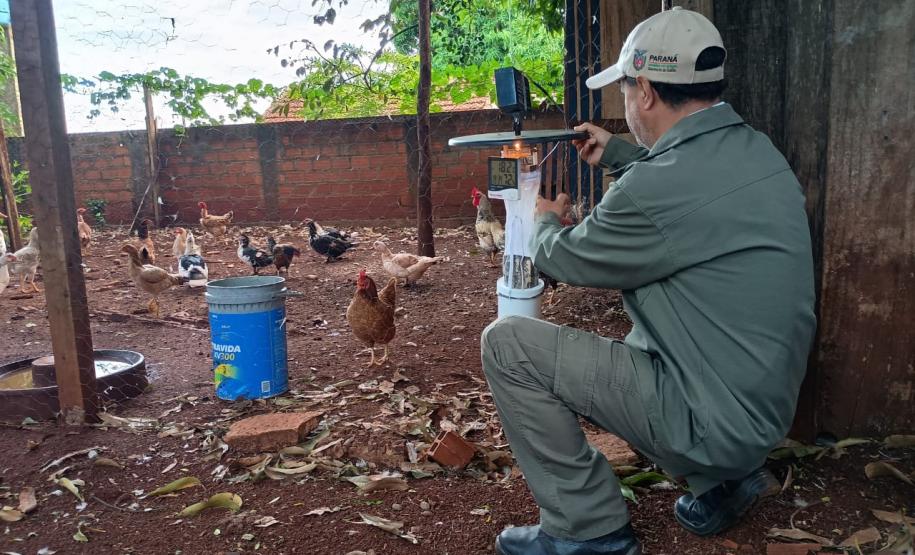 Estado reforça vigilância e prevenção de agravos ligados ao meio ambiente