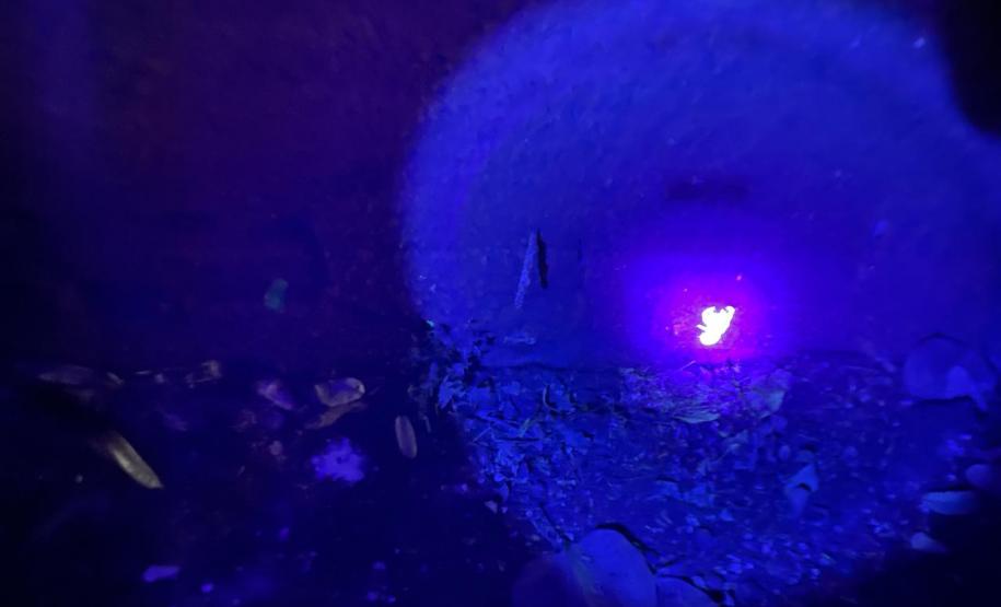 Estado reforça vigilância e prevenção de agravos ligados ao meio ambiente