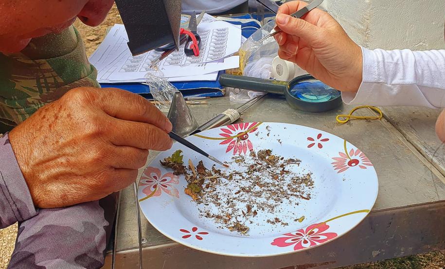 Estado reforça vigilância e prevenção de agravos ligados ao meio ambiente