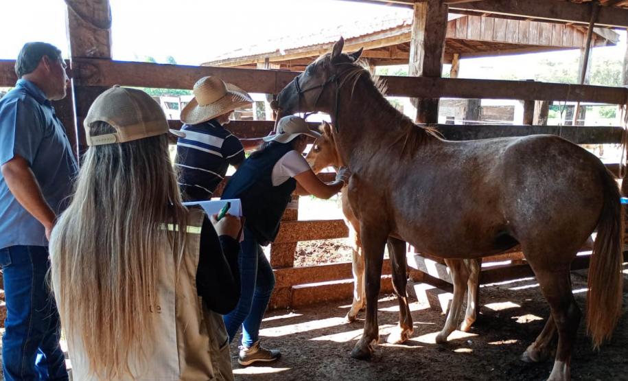 Estado reforça vigilância e prevenção de agravos ligados ao meio ambiente