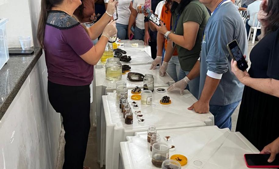 Estado reforça vigilância e prevenção de agravos ligados ao meio ambiente