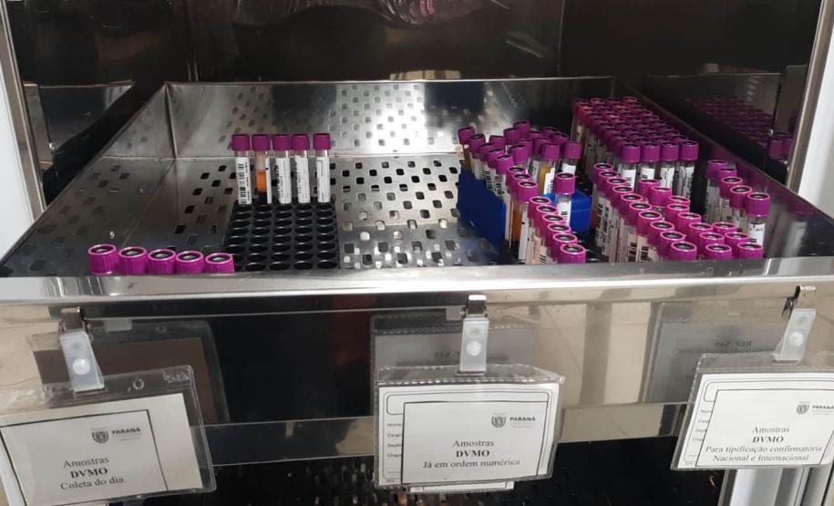 Dia Mundial do Doador de Medula Óssea: Saúde destaca atitude que salva vidas