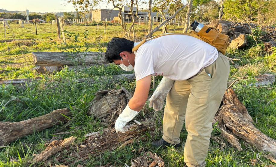 Saúde faz capacitação sobre acidentes com animais peçonhentos no Norte Pioneiro