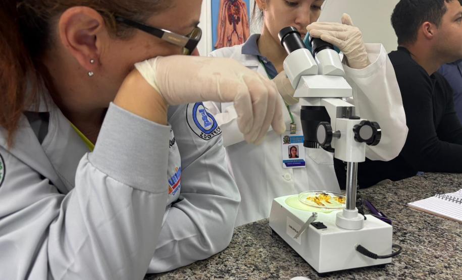 Saúde faz capacitação sobre acidentes com animais peçonhentos no Norte Pioneiro