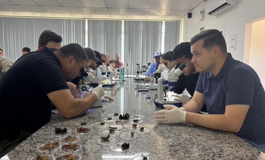 Saúde faz capacitação sobre acidentes com animais peçonhentos no Norte Pioneiro