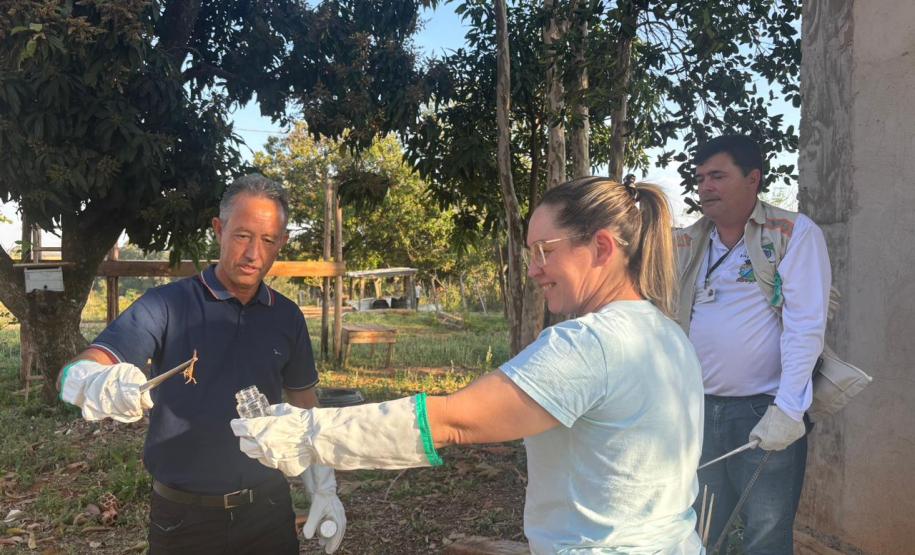 Saúde faz capacitação sobre acidentes com animais peçonhentos no Norte Pioneiro