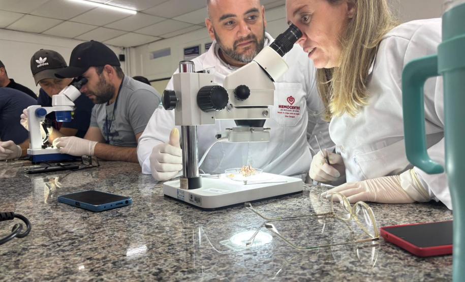 Saúde faz capacitação sobre acidentes com animais peçonhentos no Norte Pioneiro