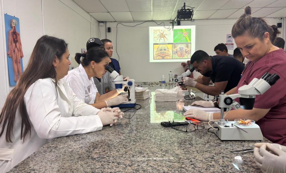 Saúde faz capacitação sobre acidentes com animais peçonhentos no Norte Pioneiro