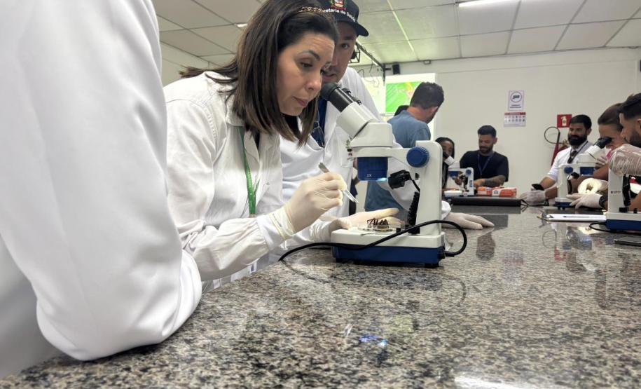 Saúde faz capacitação sobre acidentes com animais peçonhentos no Norte Pioneiro