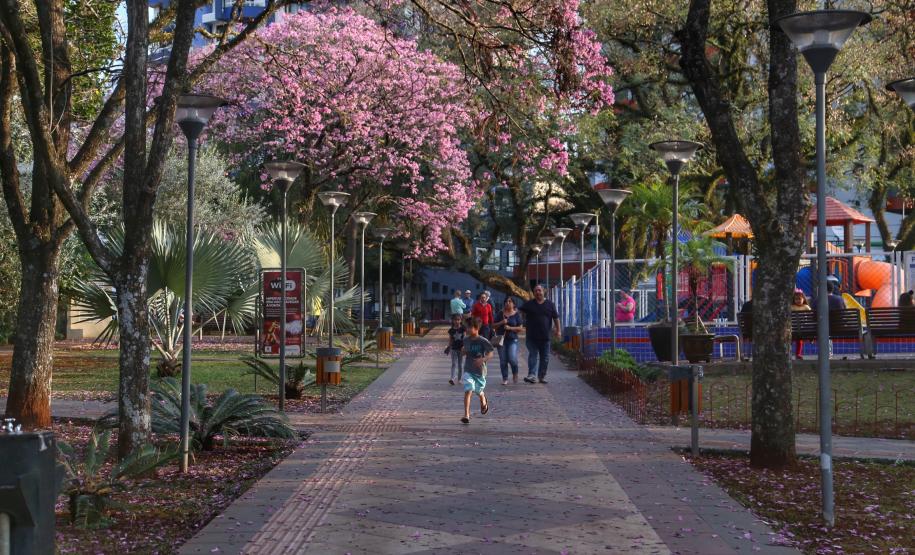 Pólen, umidade e temperatura: primavera aumenta riscos de alergias respiratórias