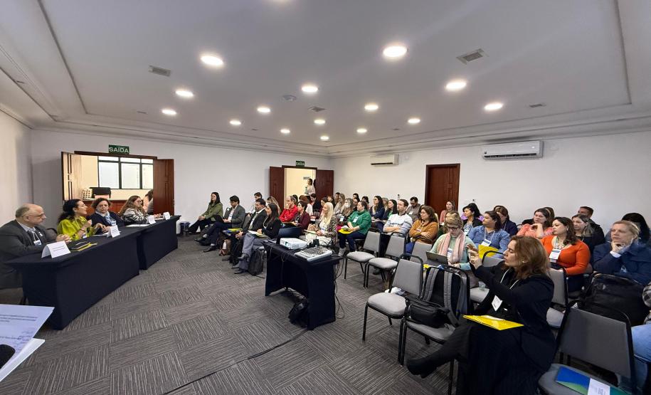 Paraná apresenta ações de enfrentamento das SRAGs para organizações nacionais e internacionais