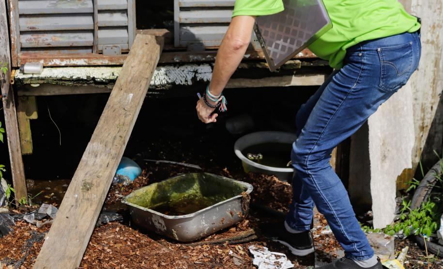 Casos e mortes de dengue caem mais de 80% no Paraná em 2025