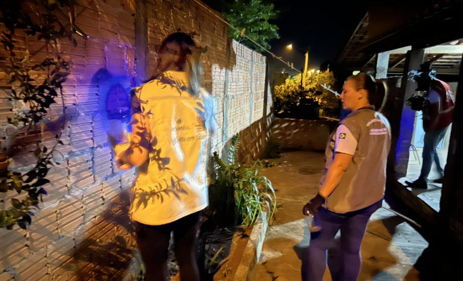Ações noturnas resultam na captura de 3,3 mil escorpiões na região de Jacarezinho