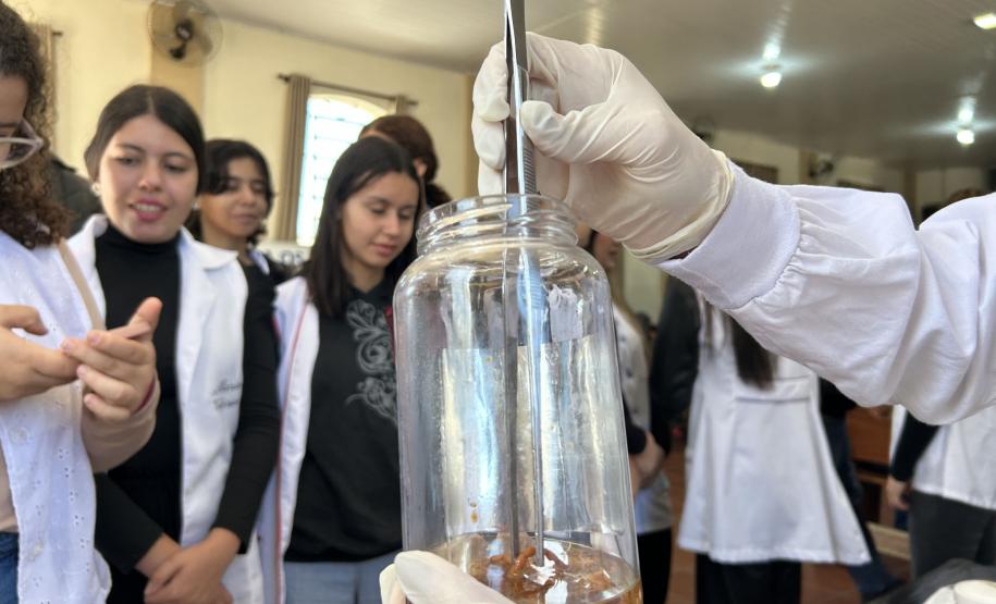 Estudantes recebem orientações para prevenir acidentes com escorpiões na região Norte