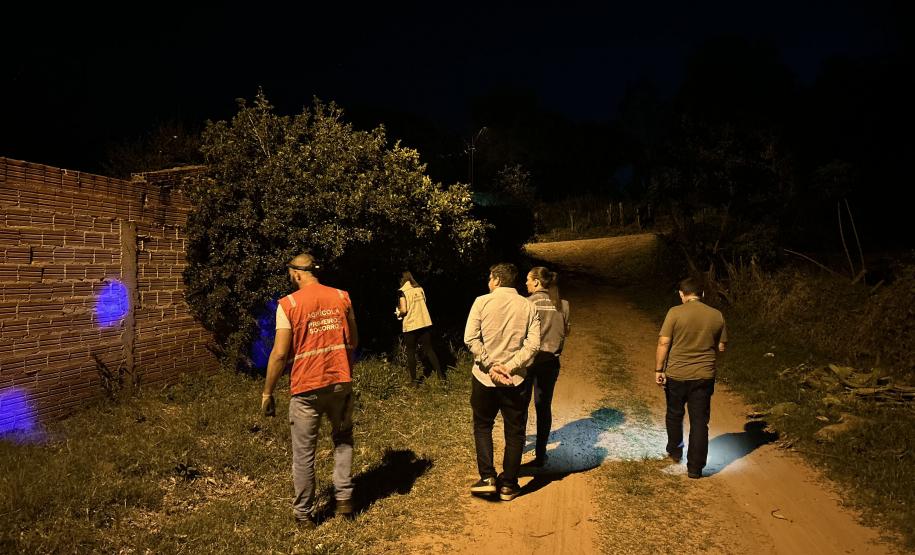 Ações noturnas resultam na captura de 3,3 mil escorpiões na região de Jacarezinho