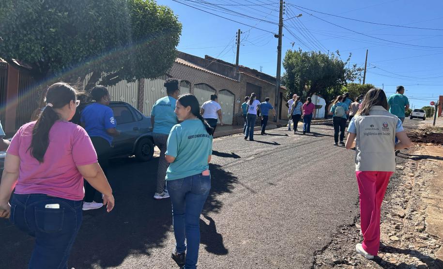 Estado e prefeitura de Cambará se unem para prevenir acidentes com escorpiões