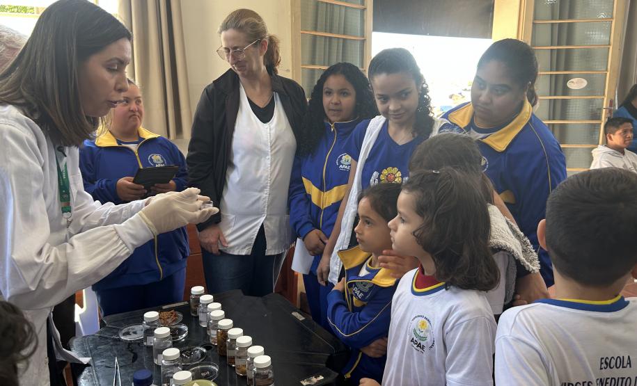 Estudantes recebem orientações para prevenir acidentes com escorpiões na região Norte