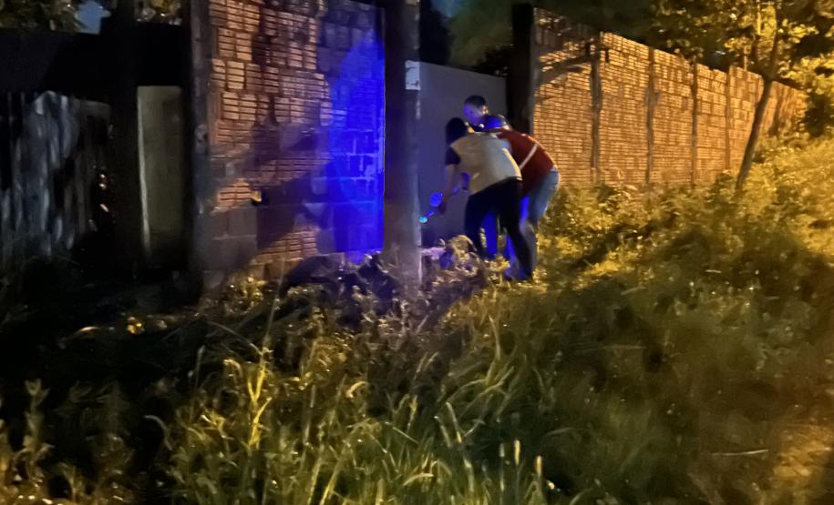 Ações noturnas resultam na captura de 3,3 mil escorpiões na região de Jacarezinho
