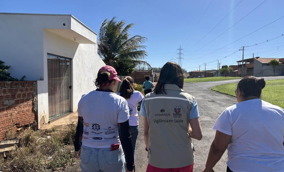 Estado e prefeitura de Cambará se unem para prevenir acidentes com escorpiões