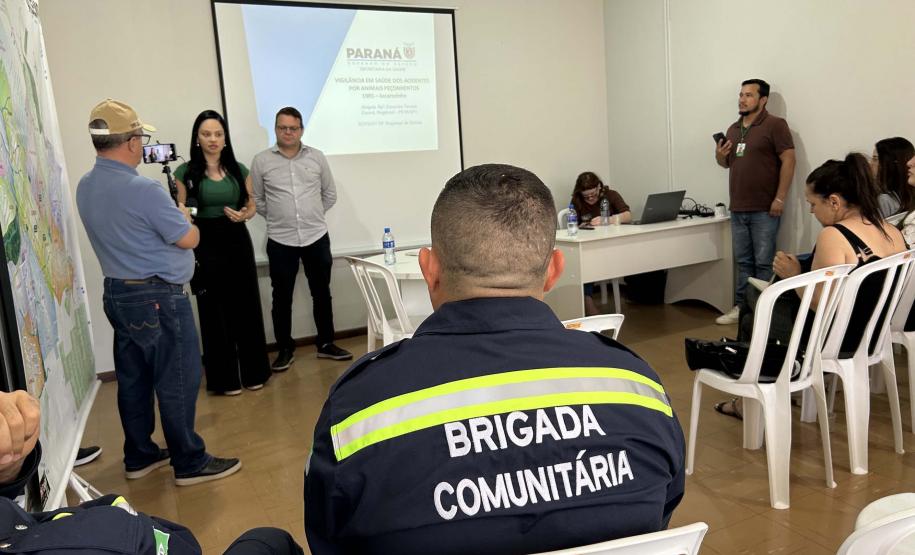 Prevenção de acidentes com escorpião mobiliza sociedade e gestores no Norte Pioneiro