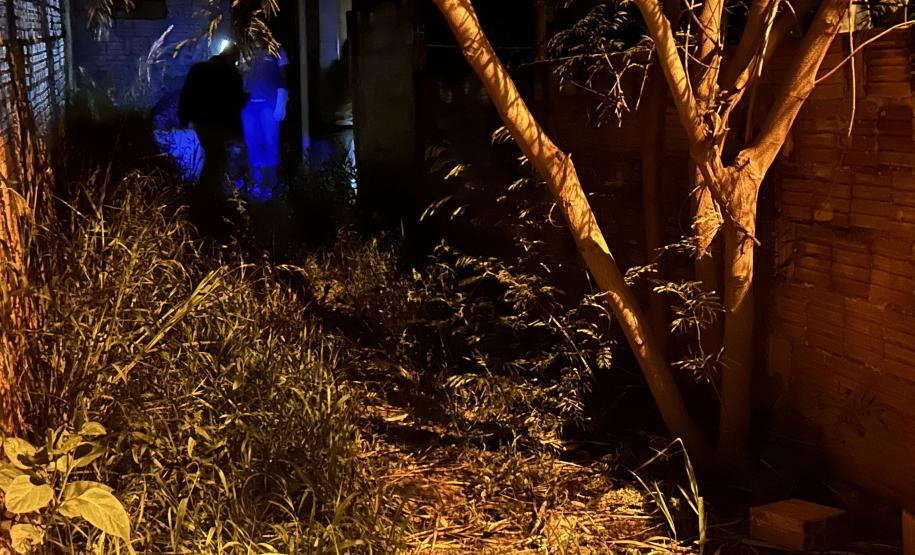 Ações noturnas resultam na captura de 3,3 mil escorpiões na região de Jacarezinho