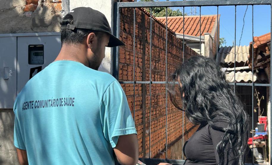 Estado e prefeitura de Cambará se unem para prevenir acidentes com escorpiões