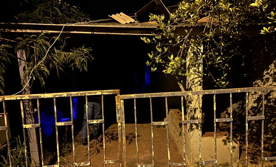 Ações noturnas resultam na captura de 3,3 mil escorpiões na região de Jacarezinho