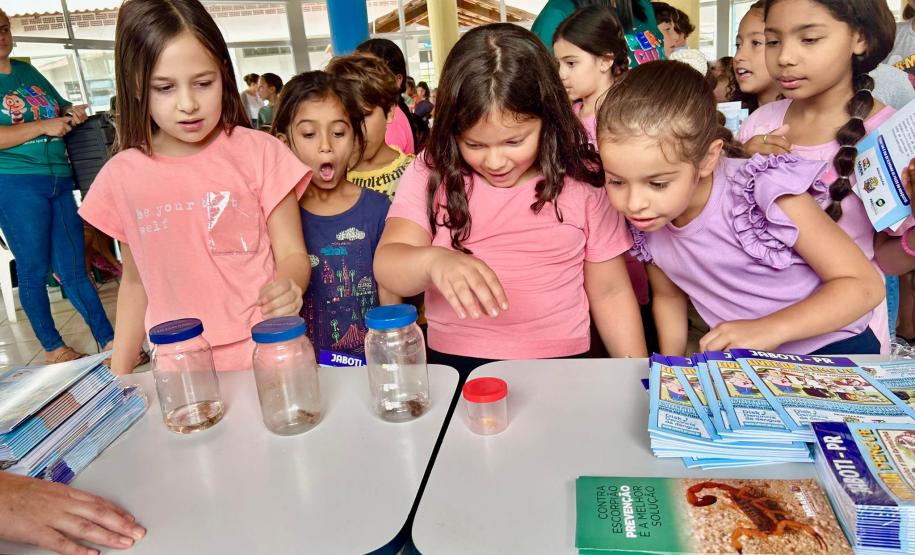 Força-tarefa contra escorpiões mantém mobilização e leva orientação às escolas