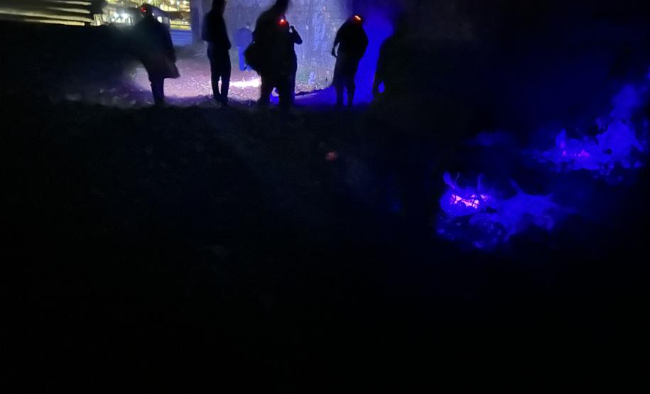 Ações noturnas resultam na captura de 3,3 mil escorpiões na região de Jacarezinho