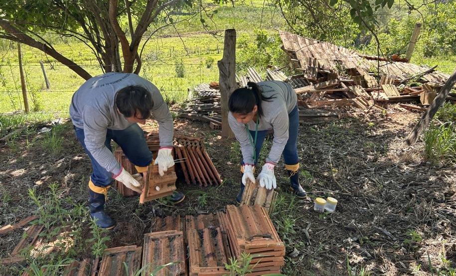 Estudantes recebem orientações para prevenir acidentes com escorpiões na região Norte