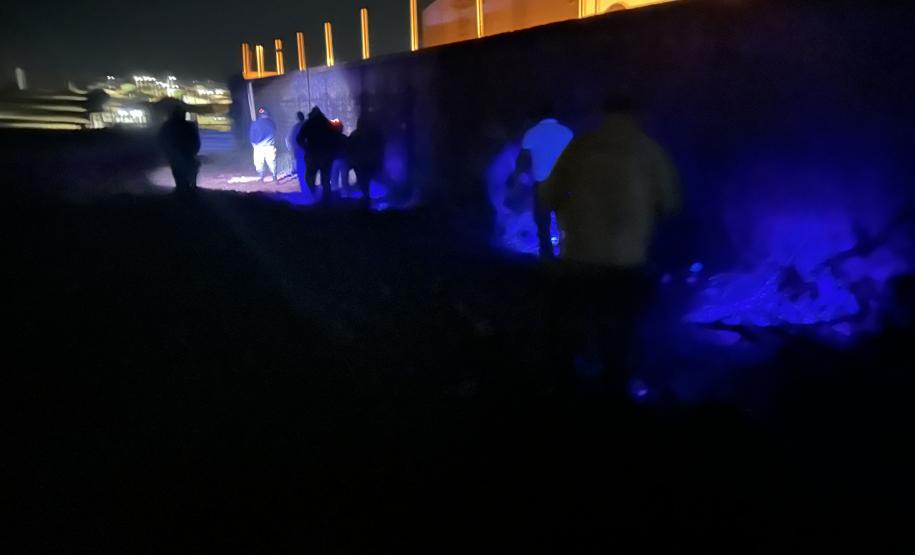 Ações noturnas resultam na captura de 3,3 mil escorpiões na região de Jacarezinho